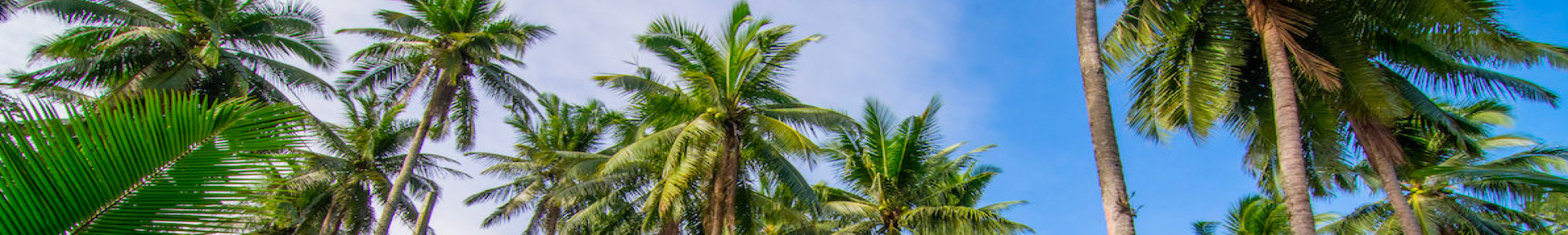 contact-banner